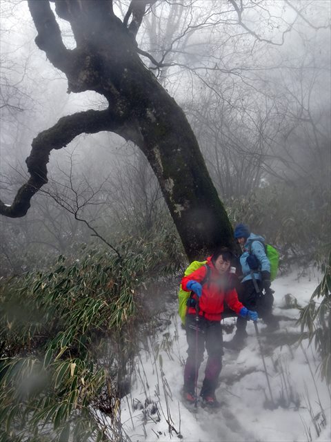 2020年1月23日（木）　　【初級登山ツアー】富士山のビューポイント　竜ヶ岳